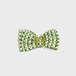 Cargue la imagen en el visor de la galería, LAZO MANDY CACTUS