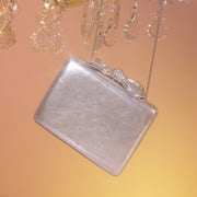 CLUTCH RAISA PLATA