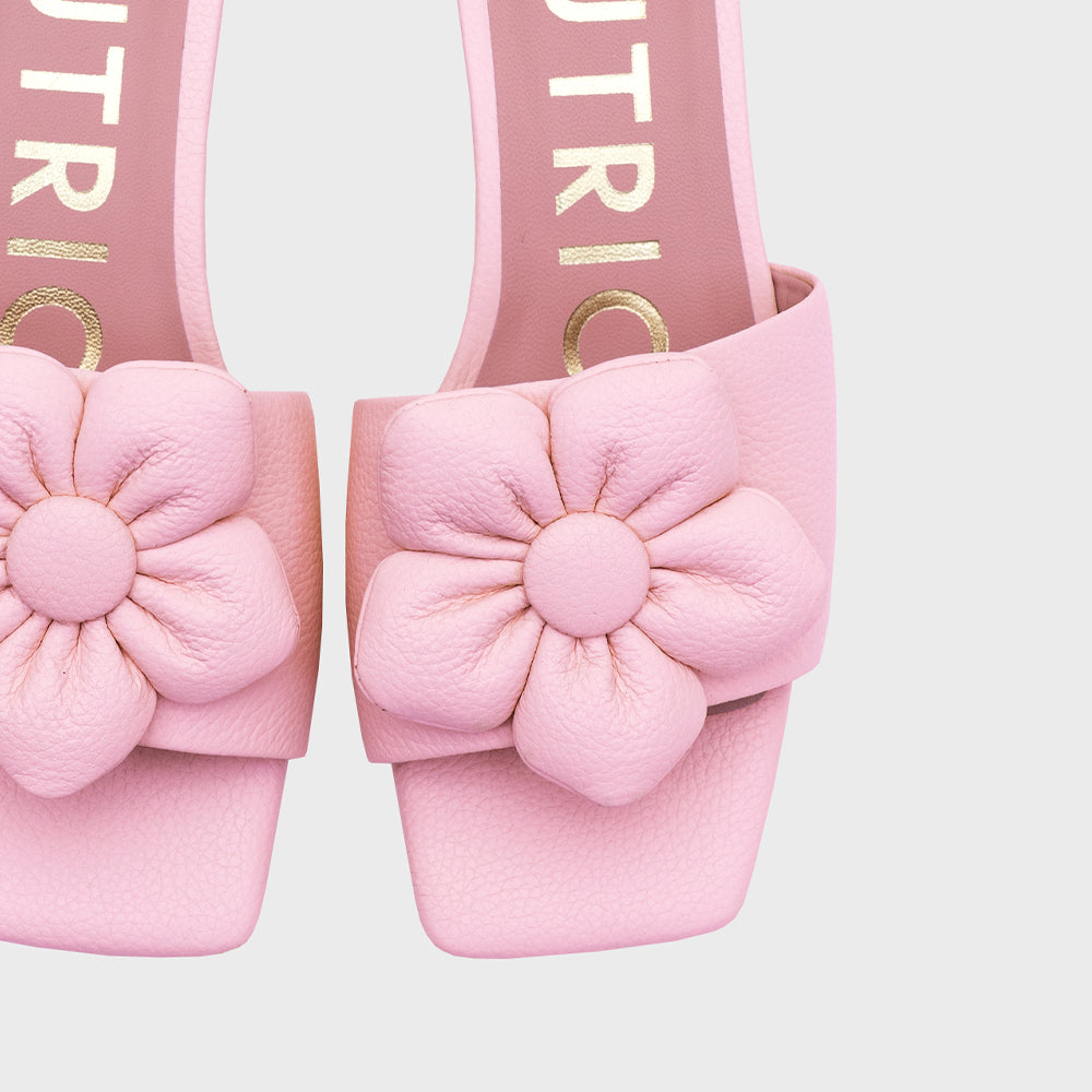 GARDENIA FLAT ROSA